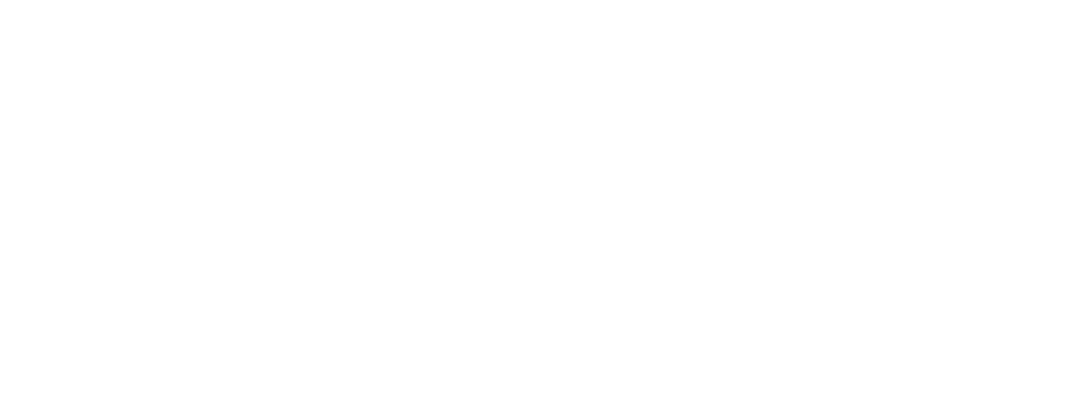Logo Icon